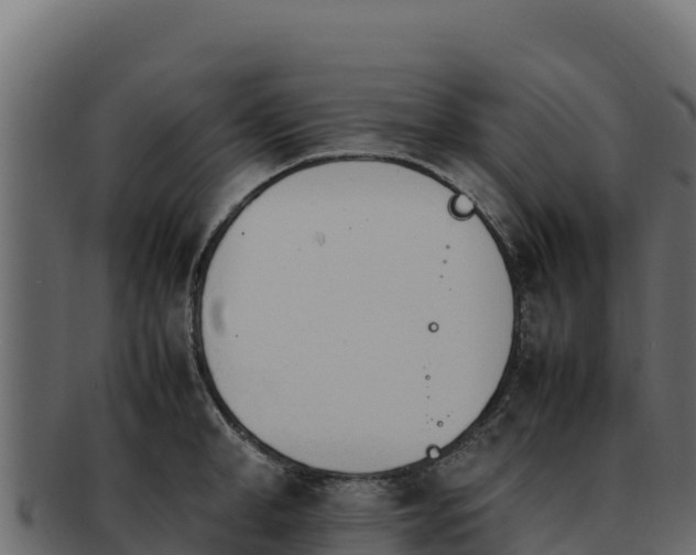 X0000092290998200710041425