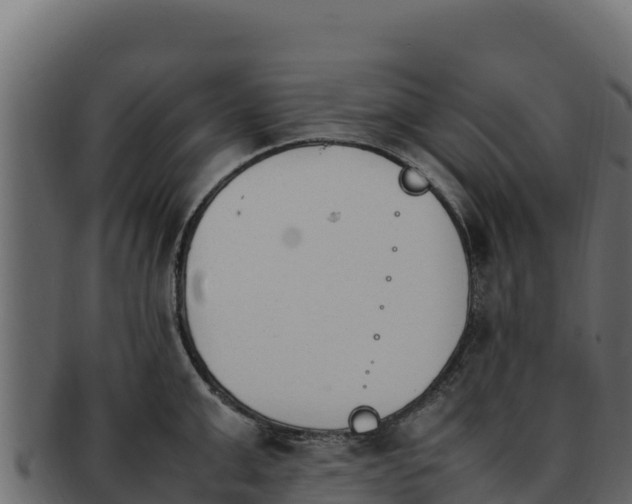 X0000092290999200710041425