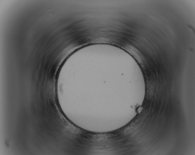 X0000092291000200710041425