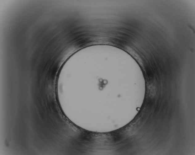 X0000092291002200710041425