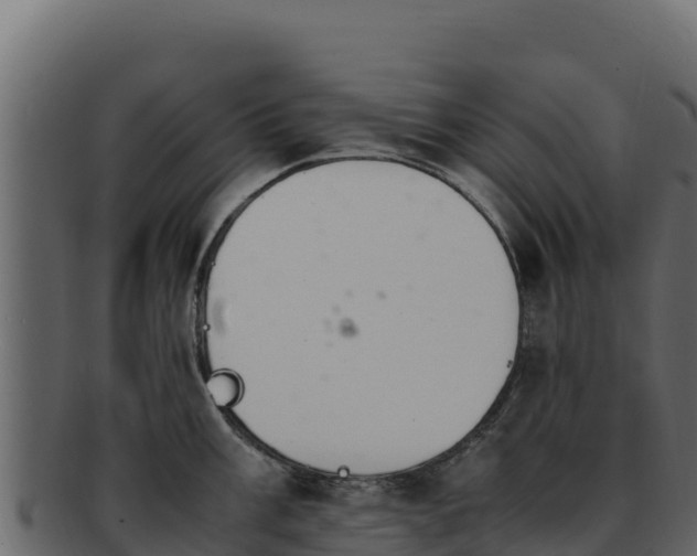 X0000092291003200710041425