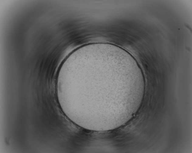 X0000092291008200710041425