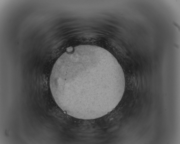 X0000092291013200710041425