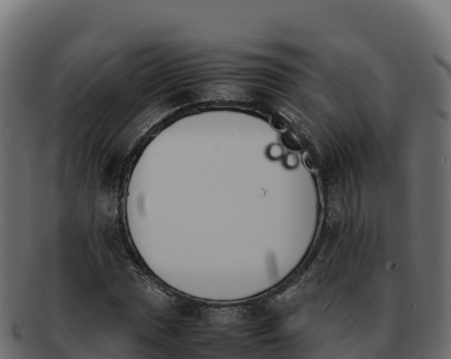 X0000092291017200710041425