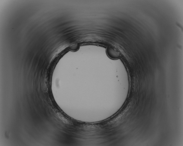 X0000092291018200710041425