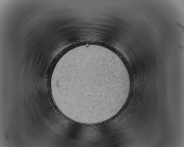 X0000092291019200710041425