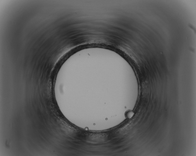 X0000092291021200710041425