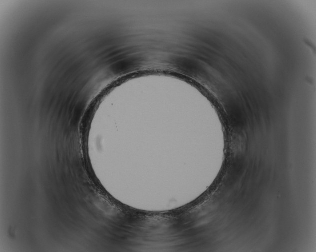 X0000092291022200710041425