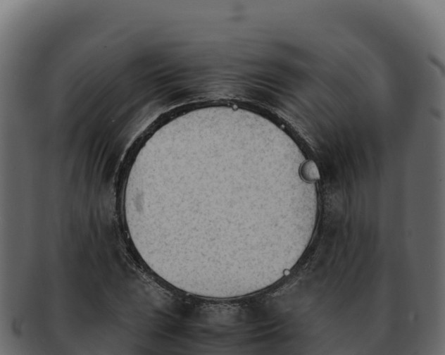 X0000092291023200710041425