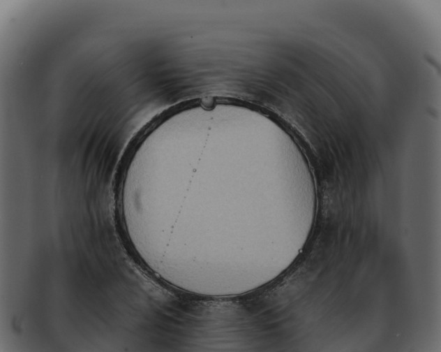 X0000092291024200710041425