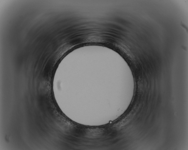 X0000092291025200710041425