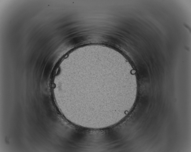 X0000092291026200710041425