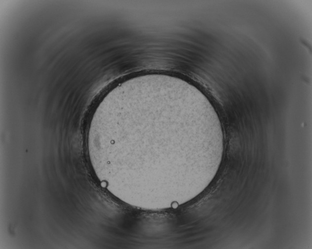 X0000092291027200710041425