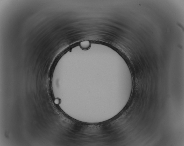 X0000092291029200710041425