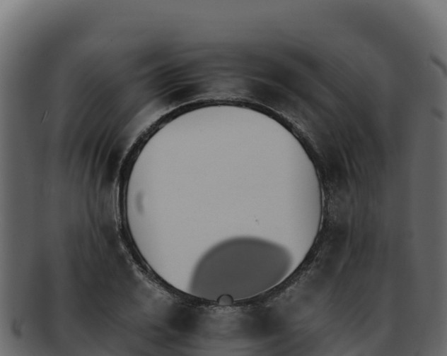 X0000092291030200710041425