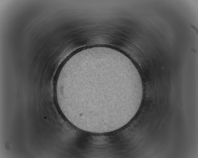 X0000092291031200710041425