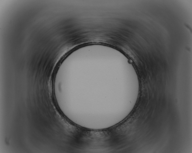 X0000092291032200710041425