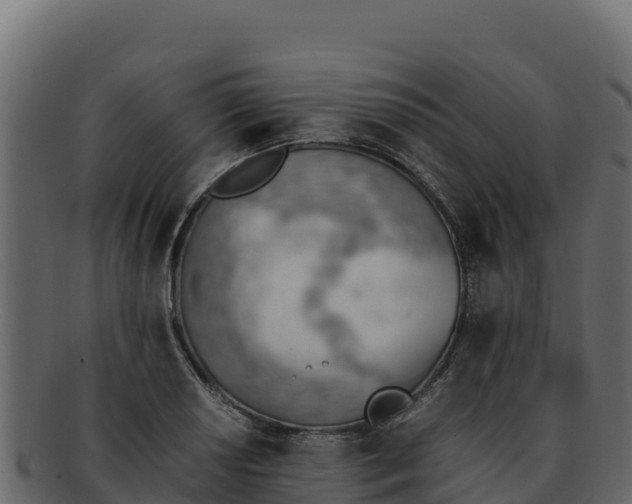 X0000092291034200710041425