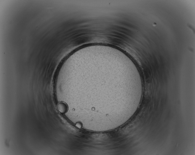 X0000092291037200710041425