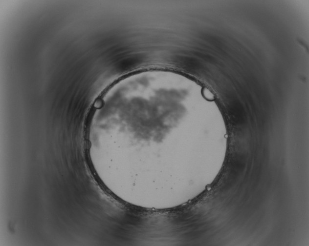 X0000092291038200710041425