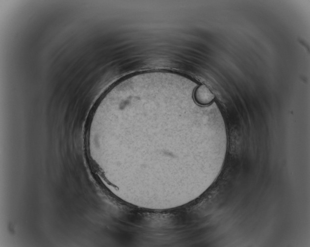 X0000092291039200710041425