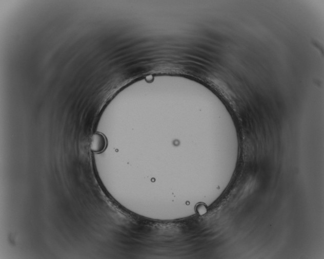 X0000092291041200710041425