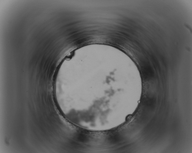 X0000092291042200710041425