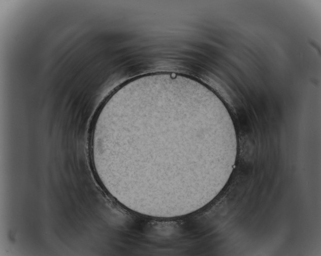 X0000092291043200710041425