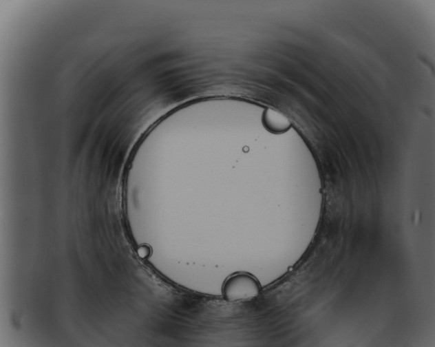 X0000092291044200710041425