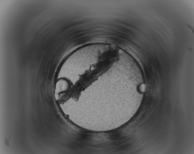 X0000092291045200710041425