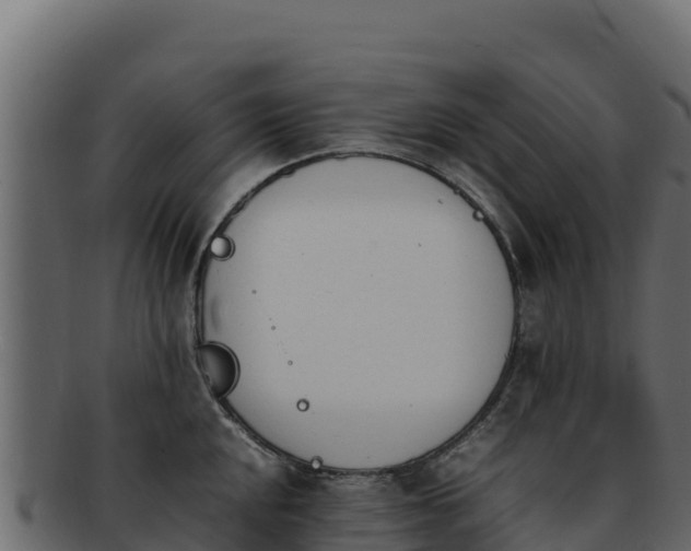 X0000092291048200710041425