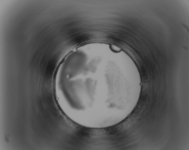 X0000092291050200710041425