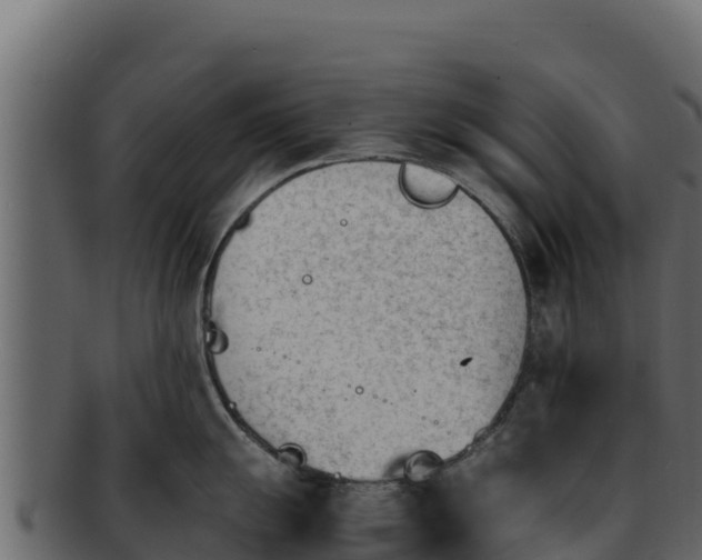 X0000092291055200710041425