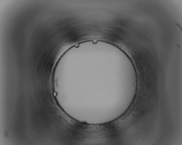 X0000092291056200710041425