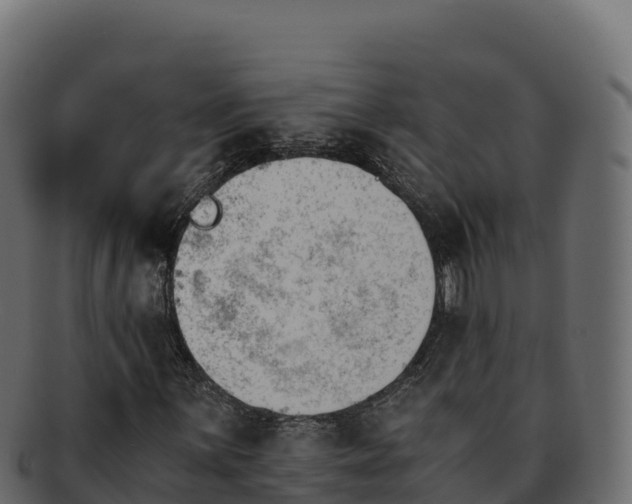 X0000092291059200710041425