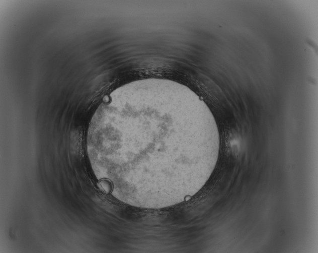 X0000092291060200710041425