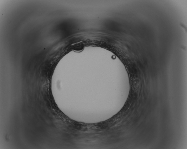 X0000092291061200710041425