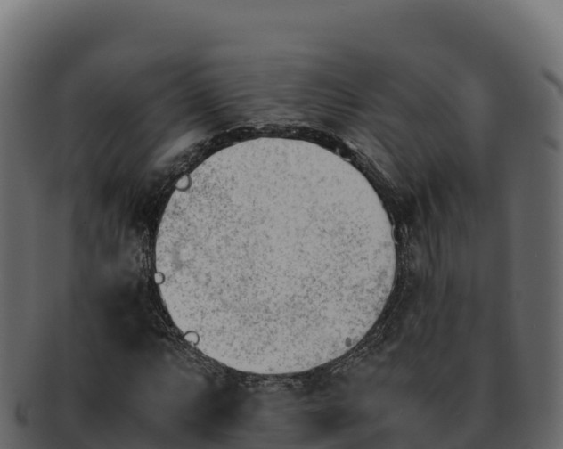 X0000092291063200710041425