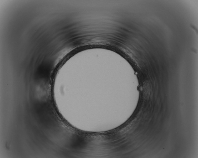 X0000092291066200710041425