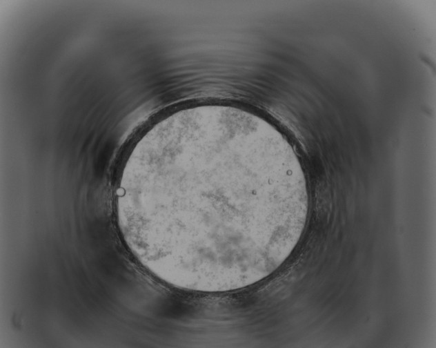 X0000092291067200710041425