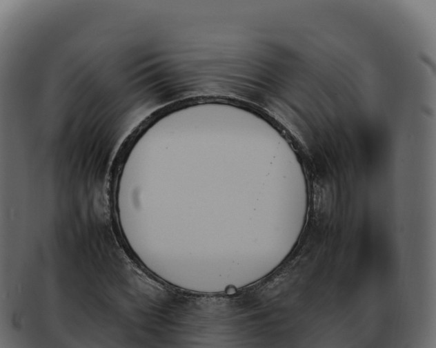 X0000092291068200710041425