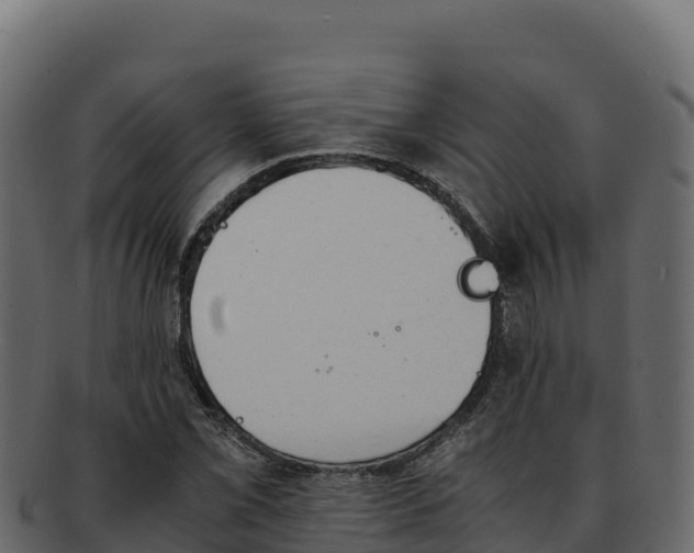 X0000092291069200710041425