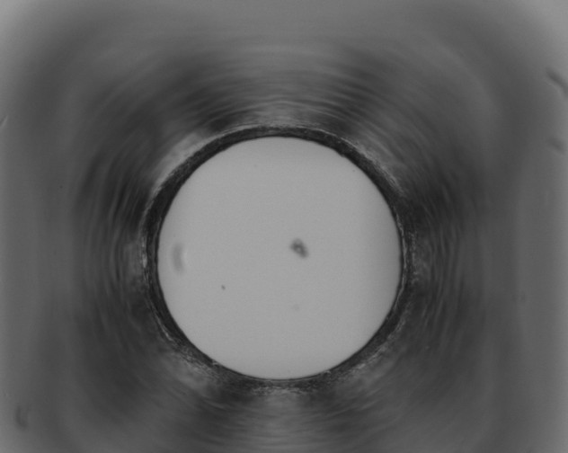 X0000092291070200710041425