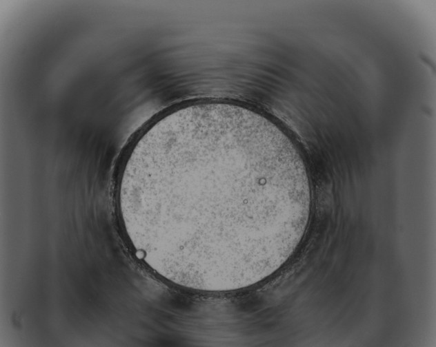 X0000092291071200710041425