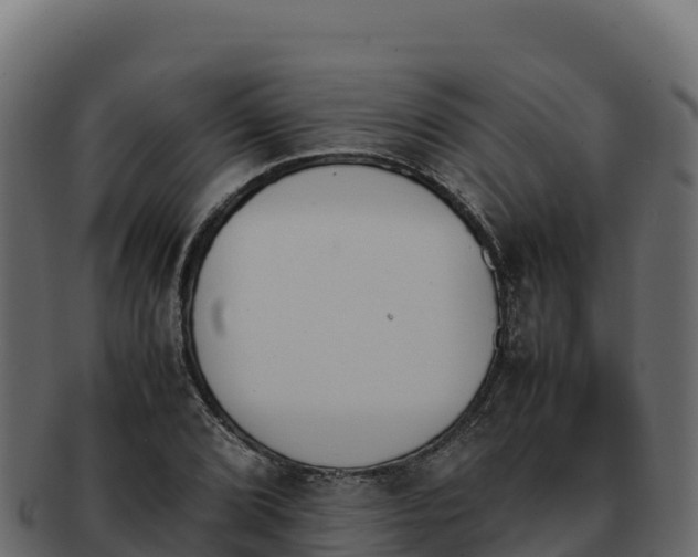 X0000092291072200710041425