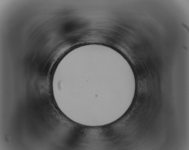 X0000092291074200710041425