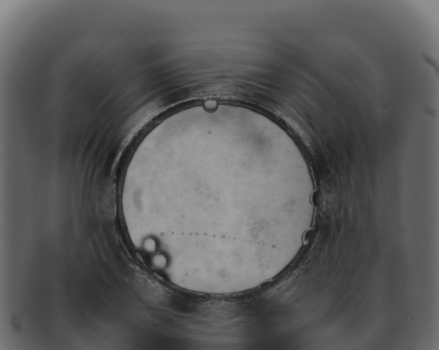 X0000092291075200710041425