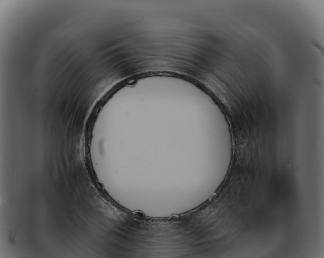 X0000092291076200710041425