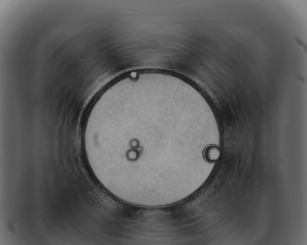 X0000092291077200710041425