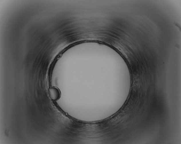 X0000092291080200710041425